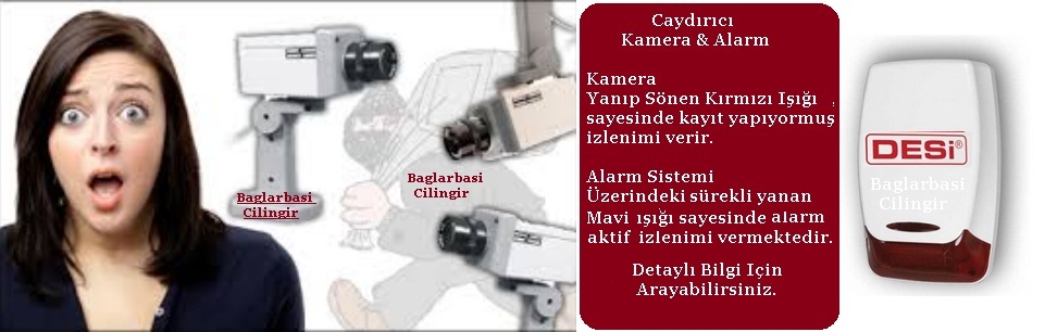 Caydırıcı Sahte Kamera Alarm Sistemleri Üsküdar